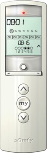 9068831.jpg